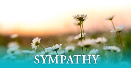 Sympathy Arrangements by Salvy the Florist