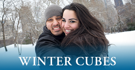 Winter Cubes By Salvy the Florist