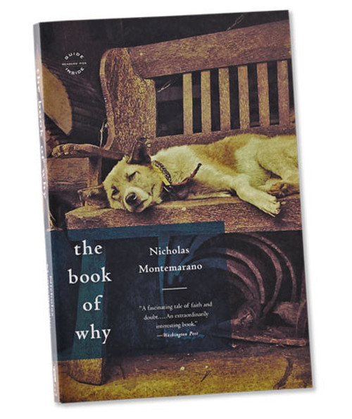 32 Bar Blues Nick Montemarano - The Book Of Why, a book cover featuring a dog lying on a wooden sofa with a dark background and blue and black text design.