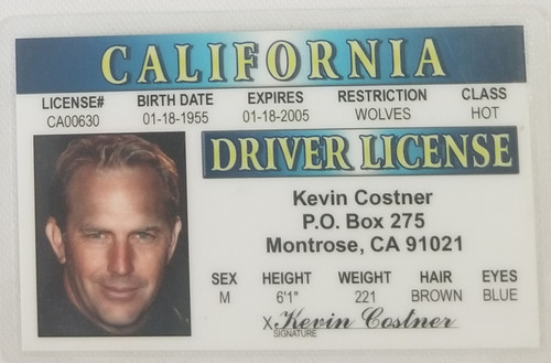 Kevin Costner Souvenir Novelty card front