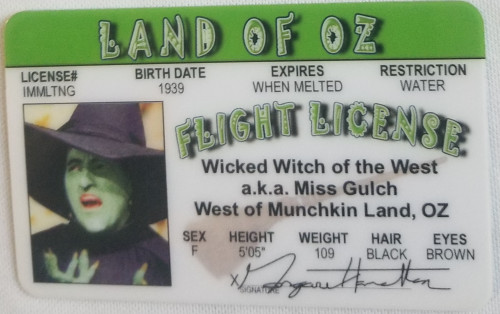 The Wizard of Oz Wicked Witch souvenir novelty card front