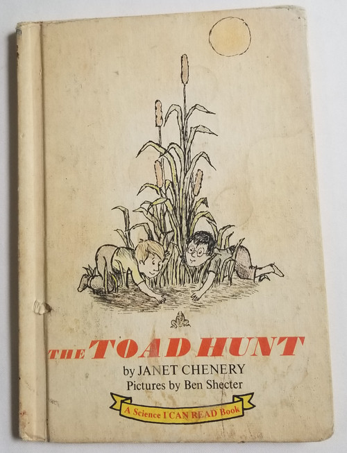 The Toad Hunt by Janet Chenery Vintage children's Book front cover