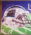 Carolina Panthers NFL rubber backing door mat throw rug close up of the left side