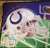 Indianapolis Colts NFL door mat throw rug less stains close up of front