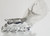 Avon Wilderness Classic Deer Buck Silver decanter in Box main picture of it