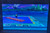1st photo showing game in play
