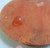 Wondermold Orange Slice  Crushed Glass Trivet Hot Plate Circa 1960s close up of back chip