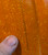 Wear spot shown