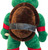 Back of shell shown