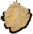Back side shown
