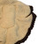 Back right side shown