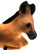 Close up of face shown