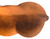 Back side shown over top with light on