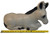 Length shown
