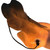 Back side shown head with light on