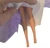 Legs shown