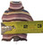 Width shown