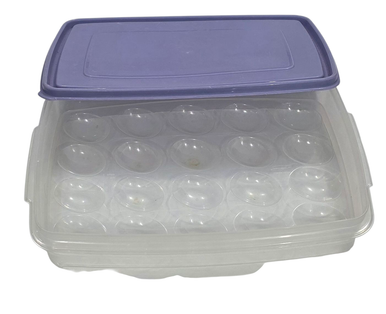 Rubbermaid #7 Servin Saver Deviled Egg Storage Keeper with Purple Lid ...