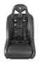 Pro Armor 4 Point 2 AutoStyle Harness Driver Side UTVS0054269