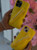 Rhode iPhone case with Peptide - Lemontini