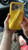 Rhode iPhone case with Peptide - Lemontini