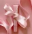 DISCOUNT DEAL - RHODE RIBBON LIPTINT + PIGGY BLUSH