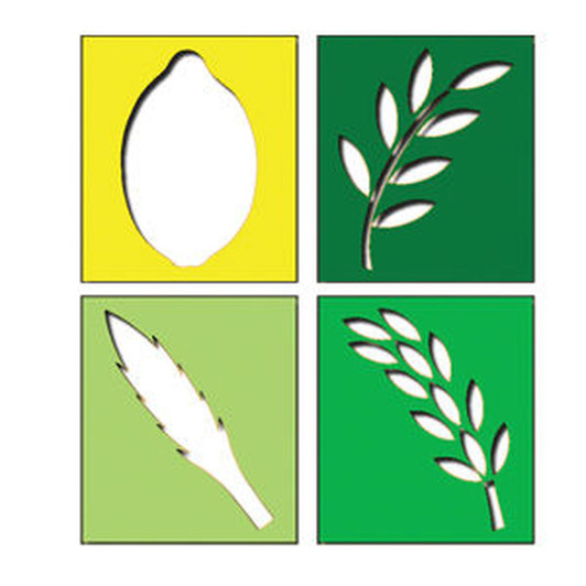 4 Ha Minim Stencil Set for Sukkot