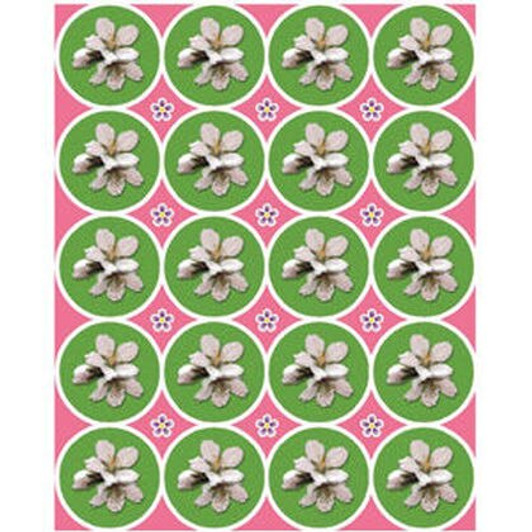 Shkedia Stickers - 1 Sheet