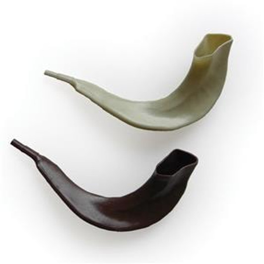Plastic Toy Shofar Realistic