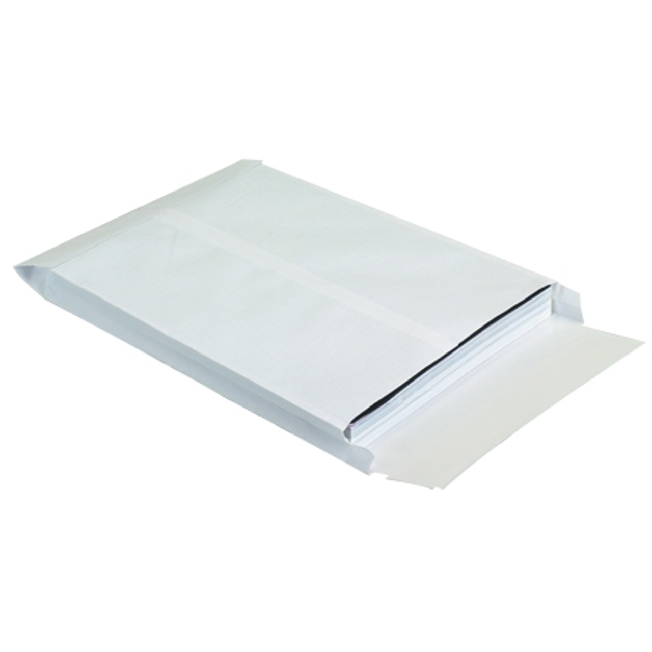 Expandable Ship-Lite® Envelopes