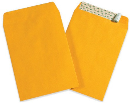 6" x 9" Kraft SelfSeal Envelopes 500 / Case