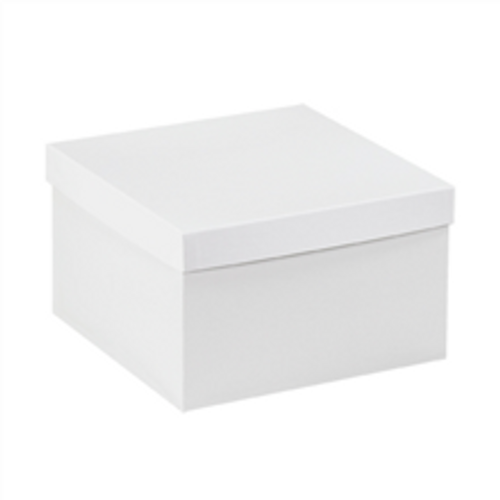 10" x 10" x 6" Bottoms feature a gray interior, lids feature a white interior.