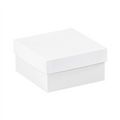 6" x 6" x 3" Bottoms feature a gray interior, lids feature a white interior.