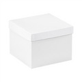 8" x 8" x 6" Bottoms feature a gray interior, lids feature a white interior.