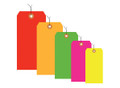 3 3/4" x 1 7/8" Pre-Wired General Purpose Fluorescent Colored Tags 13 Point Card Stock