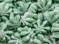 Green Cannabis Leaf Shaped Packing Peanuts. Environmentally Friendly to all Ecosystems such as Lakes, Streams, Rivers, & Oceans