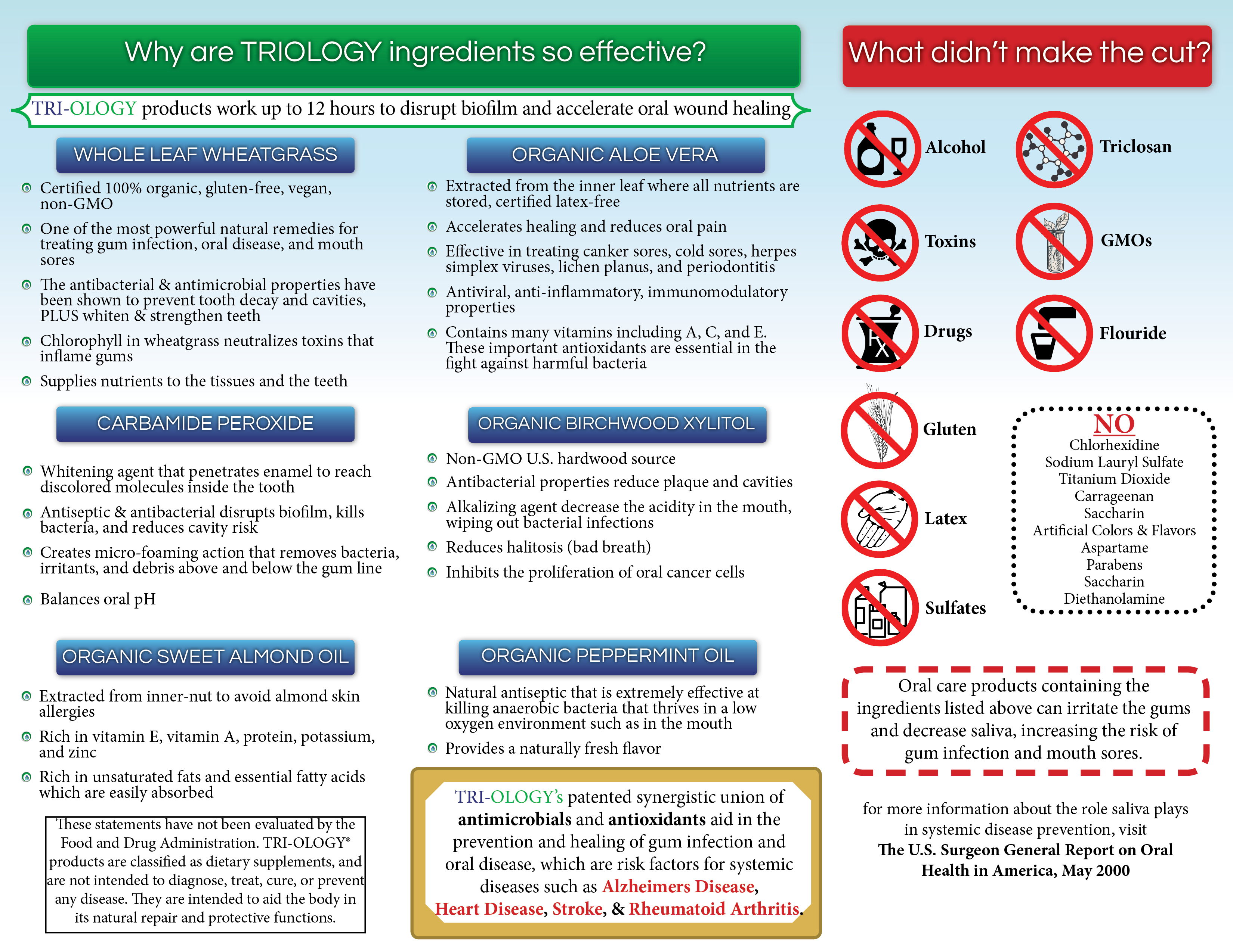 tri-fold-brochure-final2.jpg