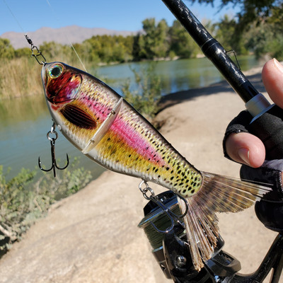 GlideCandy 2 section glide bait. 7" Threadfin Shad, Bone and Rainbow Trout colors.