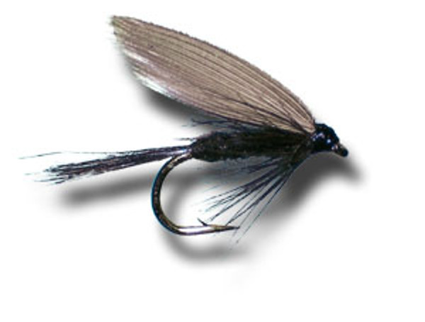 Black Gnat Wet Fly #12. 24 Flies