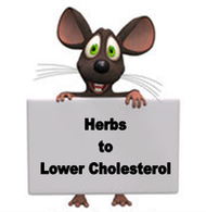 Herbs that Lower Cholesterol