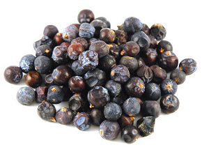 Juniper Berry is a warming, disinfectant remedy suited to chronic, cold conditions. Not used where there is kidney disease or irritation. Often combined with other remedies. Mucous cystitis, vaginal infection, too frequent urination, edema. Warming and kidney cleansing properties have made it an aid in chronic arthritis, rheumatism and myalgia. Promotes digestion and as an intestinal disinfectant. Used internally and externally for psoriasis, acne, eczema and dermatitis.