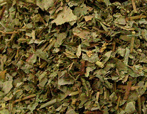 Lady's Mantle is a respected Old World herb for many female conditions with chronic infection and discharges. Vaginal discharges/itching, cervicitis, urethritis. A progesteronic herb that controls menstrual bleeding: early or heavy menstruation, intermenstrual bleeding, postpartum bleeding, menopausal flooding. Hemmorhage and bleeding in general. Symptoms of progesterone deficiency: PMS, painful menstruation, menopausal symptoms with bleeding. Breast swelling.