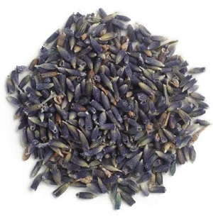 Stimulating and calming. For fever with irritation it will calm and cool; for those with conditions with cold and chill it will warm. Similarly it can be used for both nervous hypo- and hyper-function. Heart palpitations and irritability can be relieved, as well as depression with weakness. It is this versatility that makes Lavender such a useful herb. Insomnia and pain. Wonderfully adaptable to childrens need for calming. Depression, anxiety. Weakness, dizziness. Migraine. Hypertension. Beginning stage of cold and flu; sinus congestion; eruptive diseases (measles, etc.). Hard or painful labor. Stomach cramp, Irritable bowel syndrome. Nausea and vomiting. Has proven antiseptic properties and has found a use in many types of lung, urinary tract, intestinal and other infections. Externally has antiseptic and anti-inflammatory properties; has been used for many types of wounds, insect bites, skin conditions of all types, skin parasites.