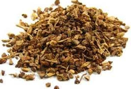 Sarsaparilla, Mexican Root