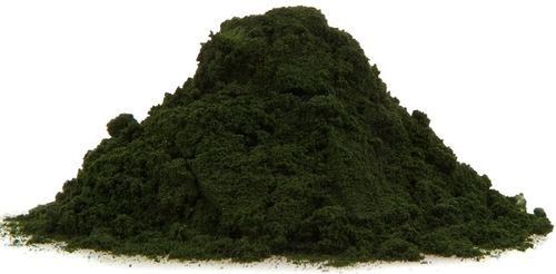 Chlorella 