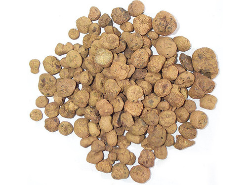 Yan Hu Suo Root