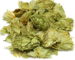 Hops is valued for its effects in nervous digestive disorders. Indigestion worse with stress. Colitis, irritable bowel syndrome. Bloating. Anorexia. Nervous irritability and unrest. Insomnia from mental over activity, stress. Pain (esp. Mouth, ear, muscles, neuralgic; int. and ext.). Sexual over stimulation. Contains estrogenic substances; has been used for PMS, pain at onset of menses. Promotes milk flow.