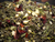 Female Balance Herbal Tea