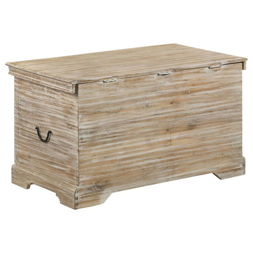 Coaster Nilay STORAGE TRUNK