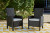 Ashley Beachcroft Black Light Gray Outdoor Arm Chair with Cushion (Set of 2)